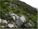 Planina Polog - Krn